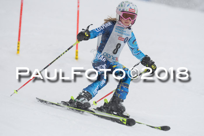 Münchner Skimeisterschaft 2018