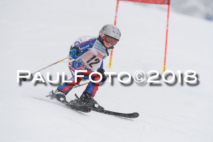 Münchner Skimeisterschaft 2018