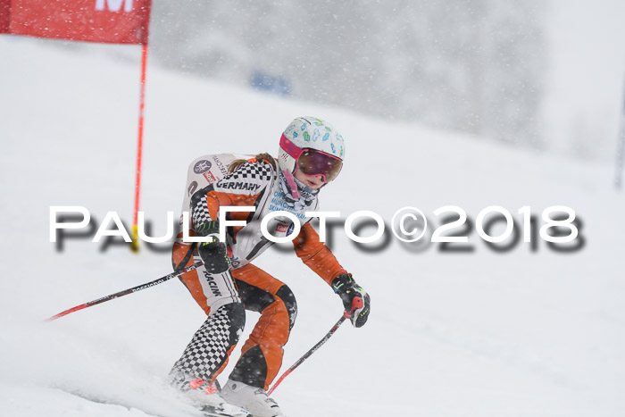 Münchner Skimeisterschaft 2018