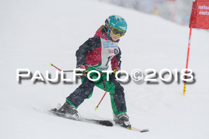 Münchner Skimeisterschaft 2018