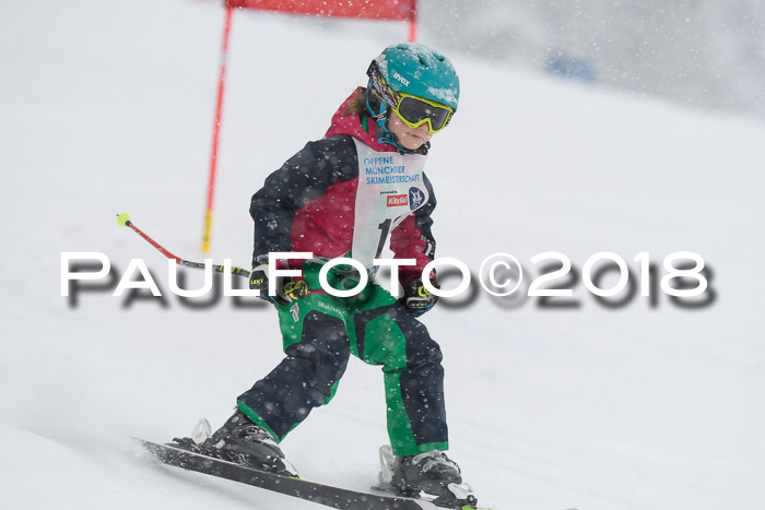 Münchner Skimeisterschaft 2018