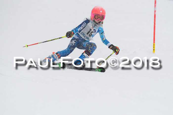 Münchner Skimeisterschaft 2018