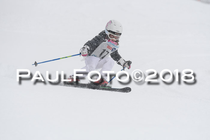 Münchner Skimeisterschaft 2018