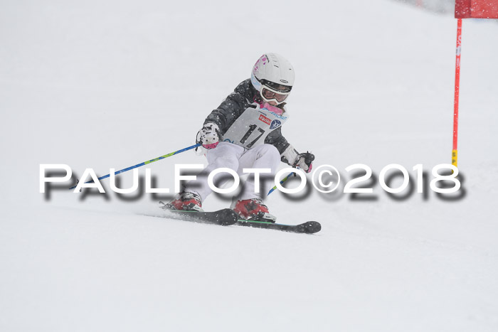 Münchner Skimeisterschaft 2018