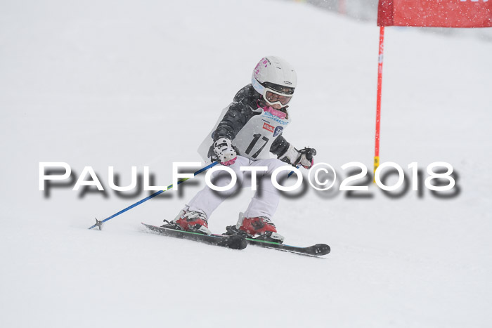 Münchner Skimeisterschaft 2018