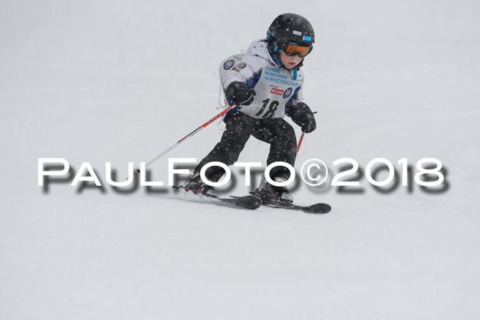 Münchner Skimeisterschaft 2018