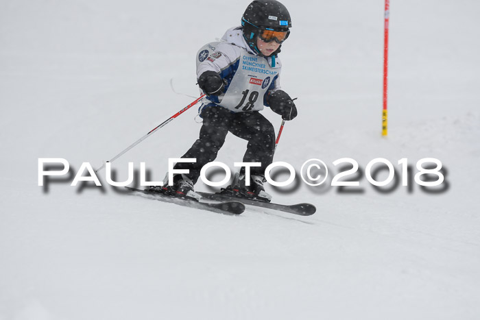 Münchner Skimeisterschaft 2018