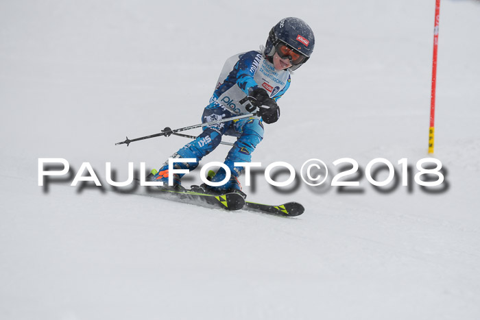 Münchner Skimeisterschaft 2018