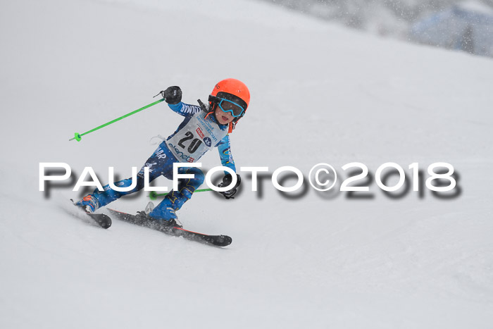 Münchner Skimeisterschaft 2018