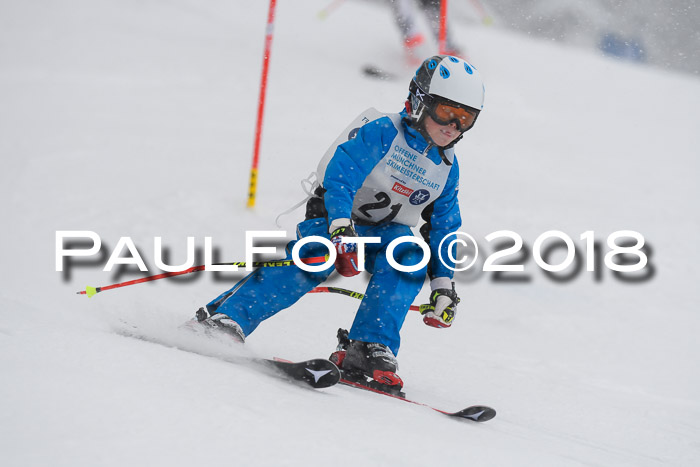 Münchner Skimeisterschaft 2018