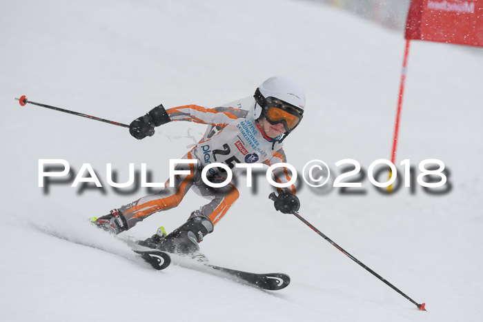 Münchner Skimeisterschaft 2018