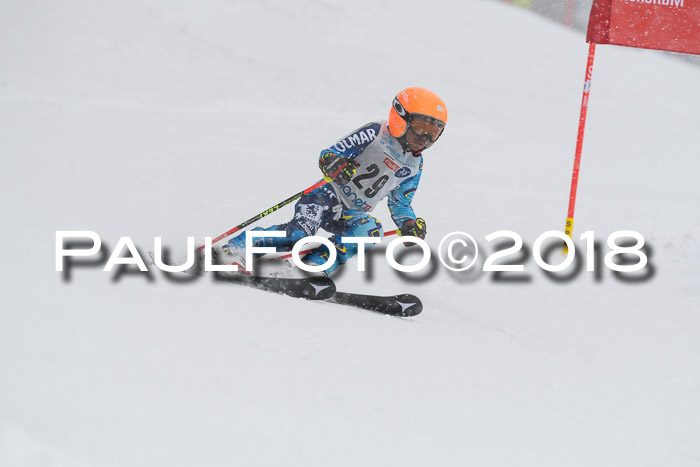 Münchner Skimeisterschaft 2018