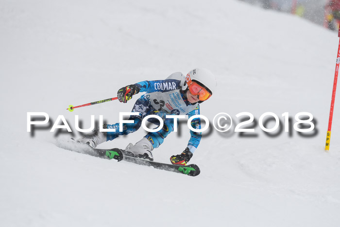 Münchner Skimeisterschaft 2018