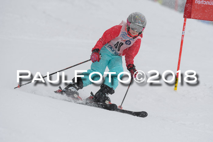 Münchner Skimeisterschaft 2018