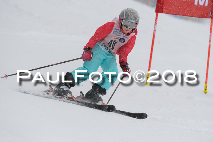 Münchner Skimeisterschaft 2018