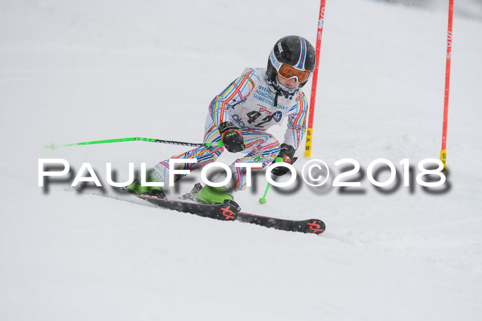 Münchner Skimeisterschaft 2018