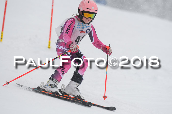 Münchner Skimeisterschaft 2018
