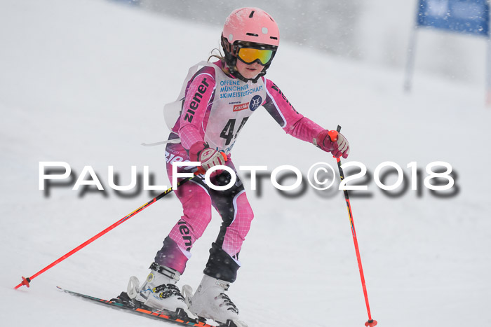 Münchner Skimeisterschaft 2018