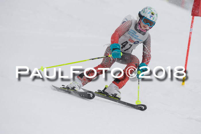 Münchner Skimeisterschaft 2018
