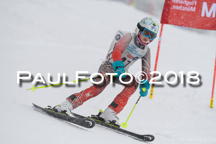 Münchner Skimeisterschaft 2018