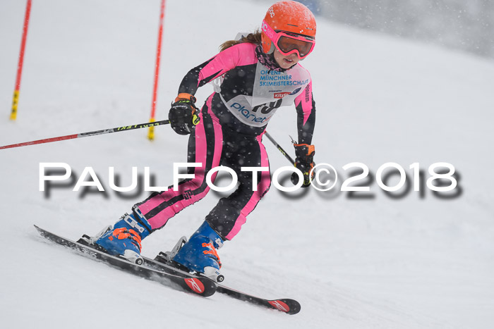 Münchner Skimeisterschaft 2018