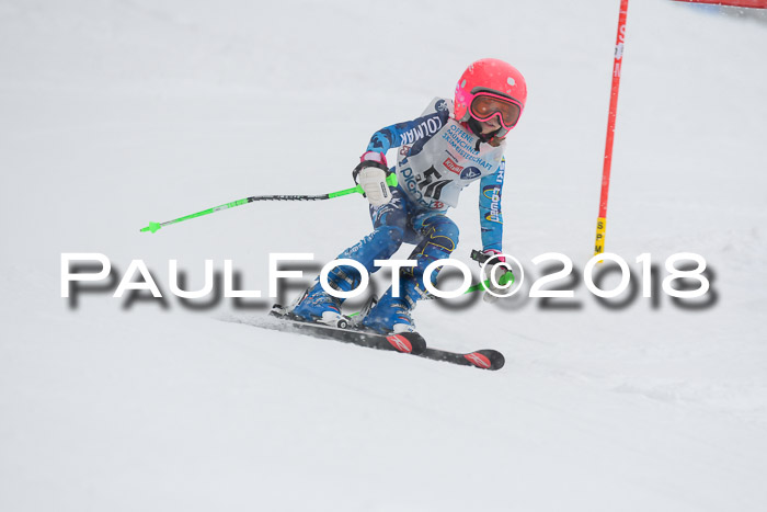 Münchner Skimeisterschaft 2018