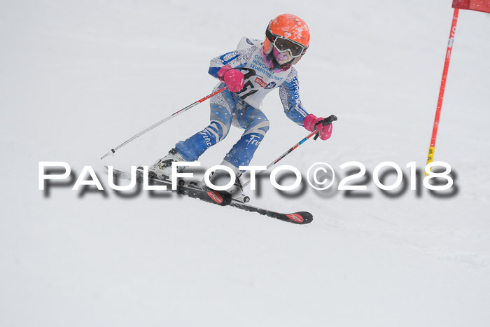 Münchner Skimeisterschaft 2018