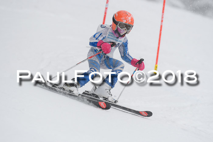Münchner Skimeisterschaft 2018