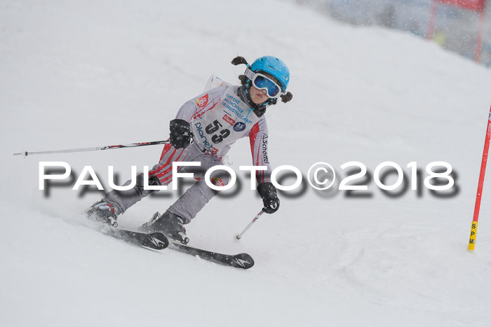 Münchner Skimeisterschaft 2018