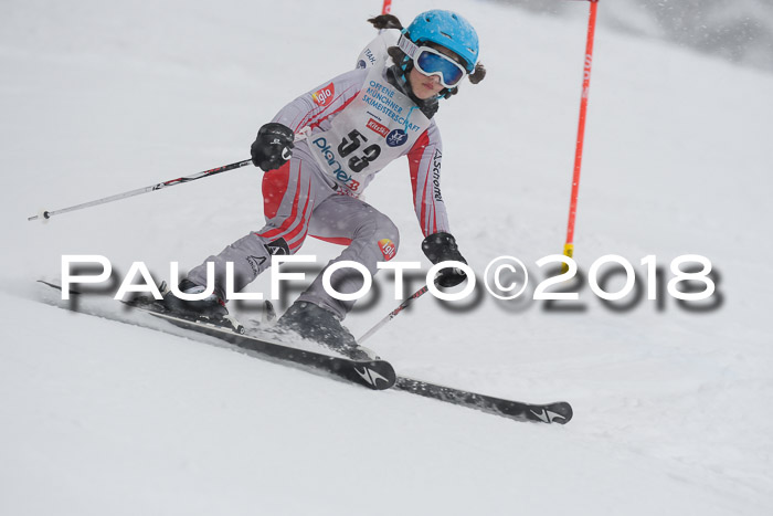Münchner Skimeisterschaft 2018