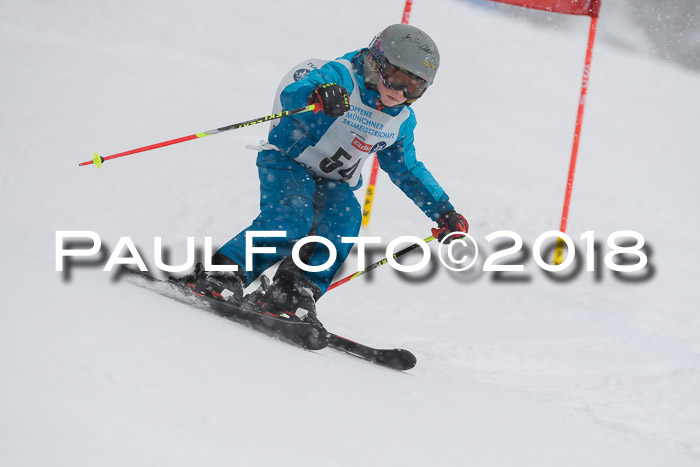 Münchner Skimeisterschaft 2018