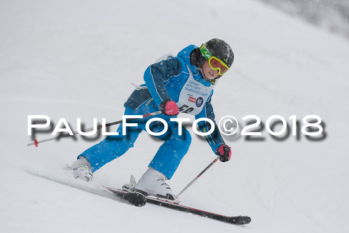 Münchner Skimeisterschaft 2018