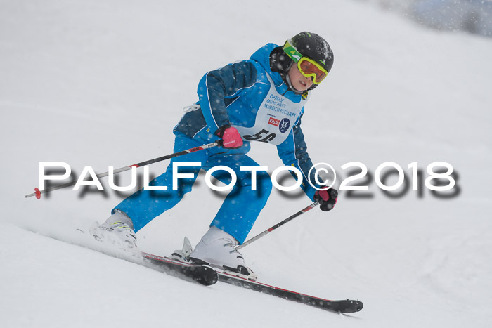 Münchner Skimeisterschaft 2018