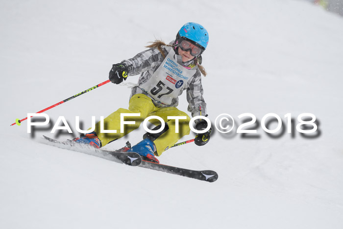 Münchner Skimeisterschaft 2018