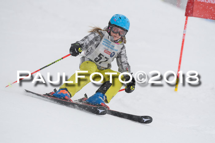 Münchner Skimeisterschaft 2018