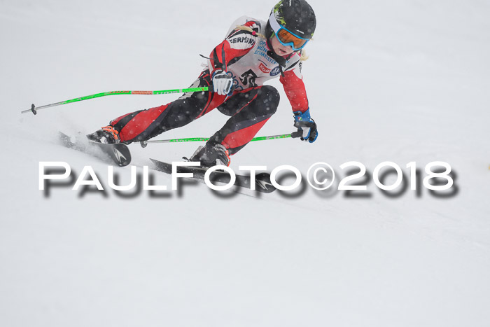 Münchner Skimeisterschaft 2018