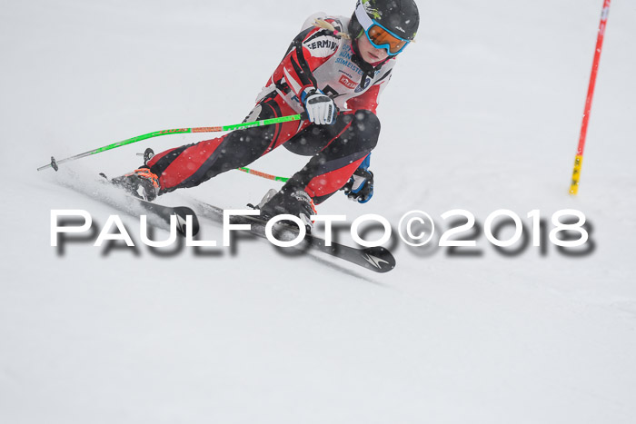 Münchner Skimeisterschaft 2018
