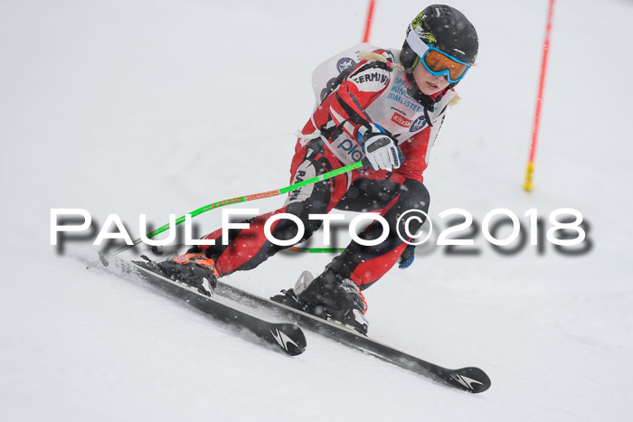 Münchner Skimeisterschaft 2018