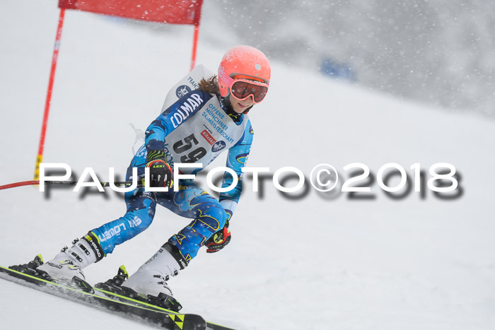 Münchner Skimeisterschaft 2018