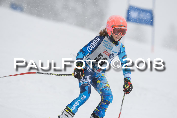 Münchner Skimeisterschaft 2018