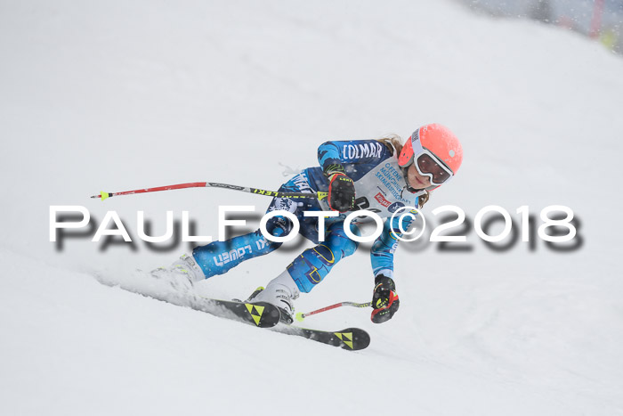 Münchner Skimeisterschaft 2018