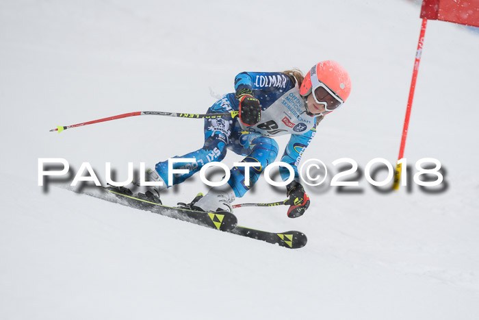 Münchner Skimeisterschaft 2018