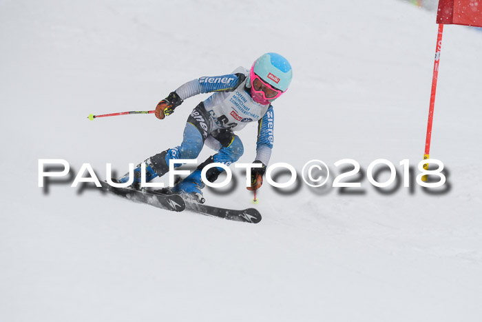 Münchner Skimeisterschaft 2018