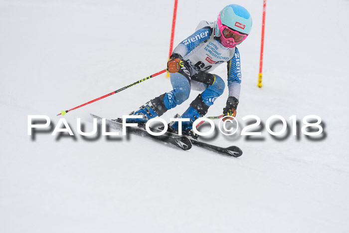 Münchner Skimeisterschaft 2018