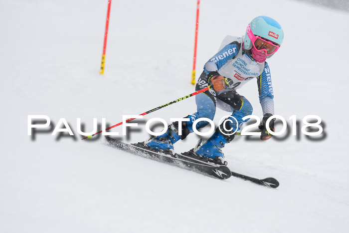 Münchner Skimeisterschaft 2018
