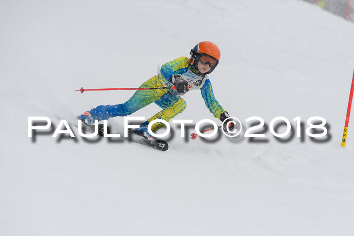 Münchner Skimeisterschaft 2018