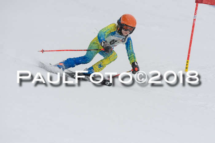 Münchner Skimeisterschaft 2018