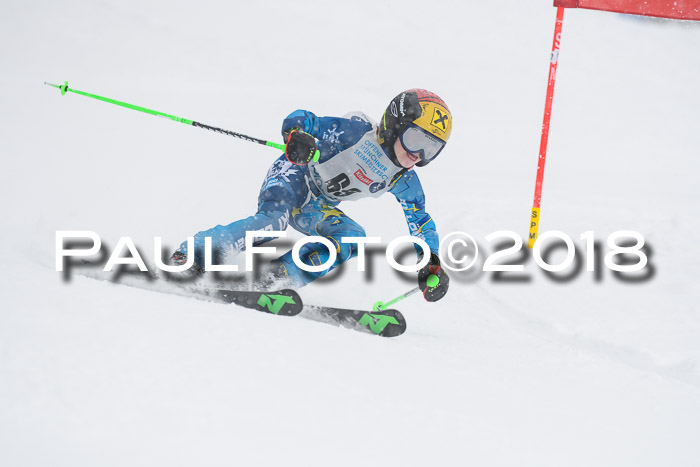 Münchner Skimeisterschaft 2018