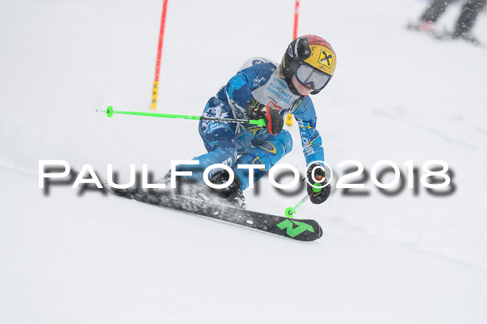 Münchner Skimeisterschaft 2018