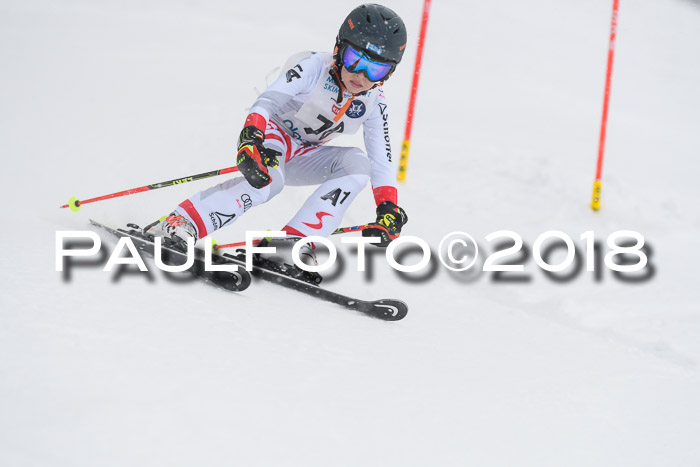 Münchner Skimeisterschaft 2018